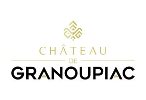 logo-preview